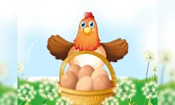 Egg Collector image