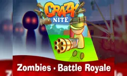Crazynite.io image