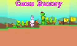 Cano Bunny image