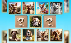 Doggie Duo Discoveries image