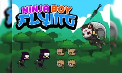 Ninja Boy Flying image