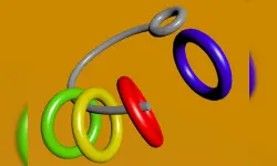Ring Collector image