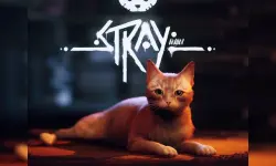 Stray image