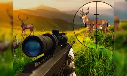 image bg Wild Hunter Sniper Buck